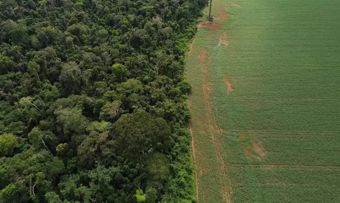 Brasil apresenta soluções de financiamento climático em Nova York