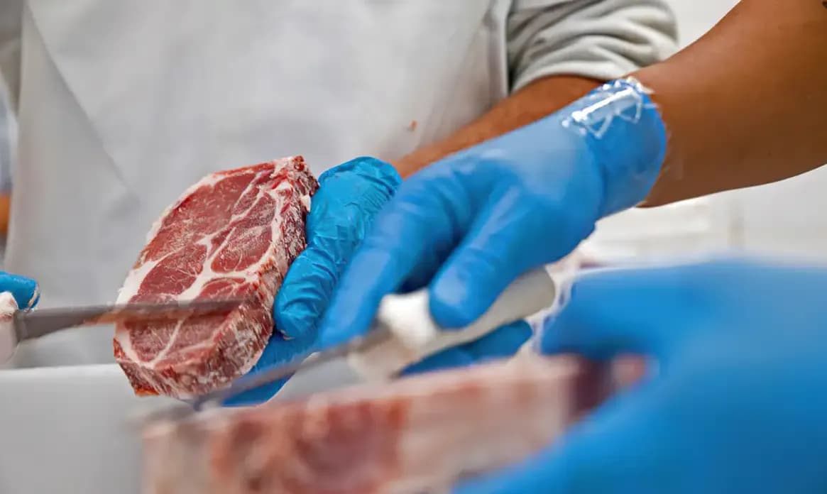 Brasil vai exportar carne bovina para Indonésia