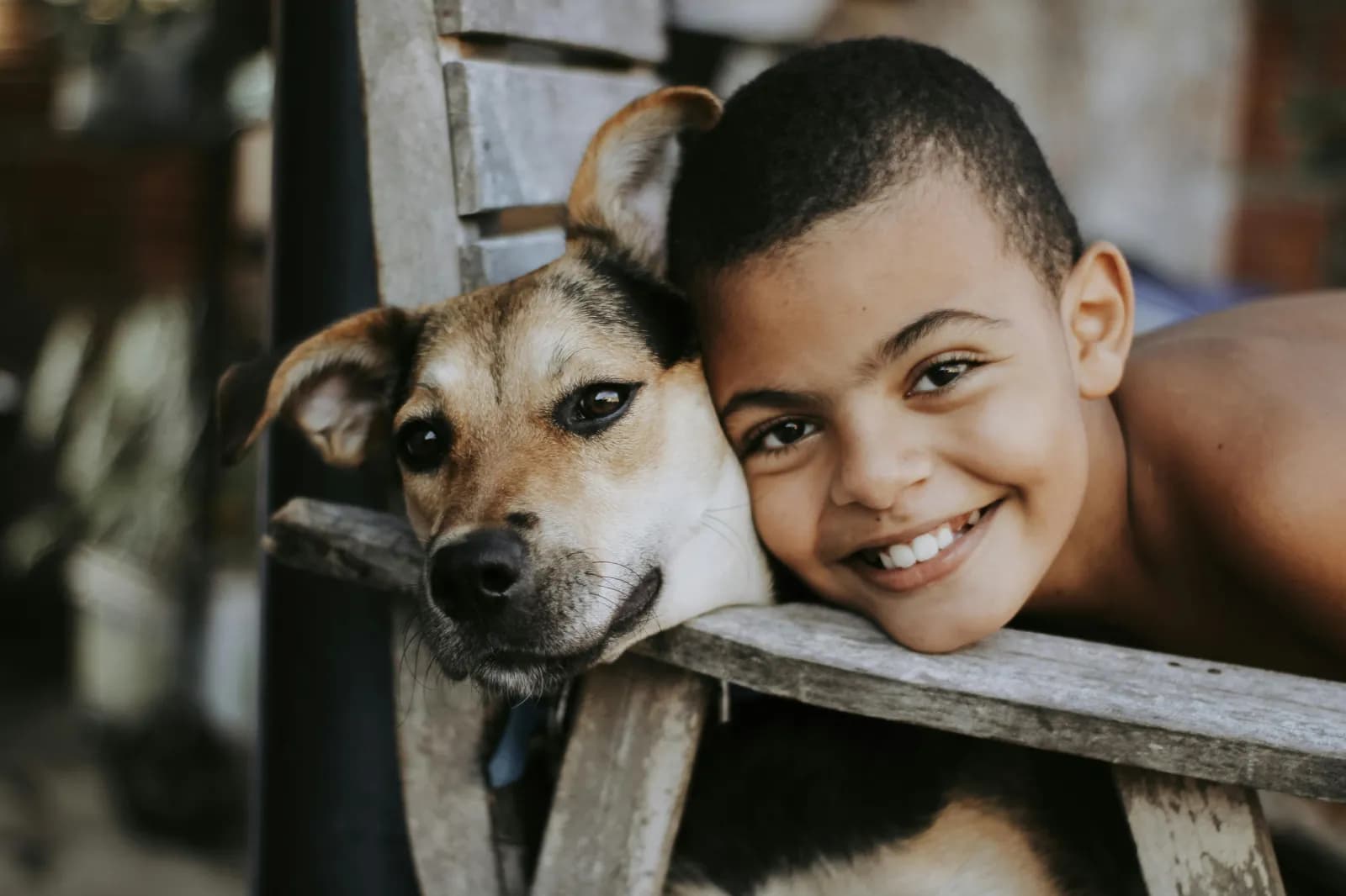 Cães Abandonados e Crianças nas Ruas: o Espelho da Nossa Indiferença
