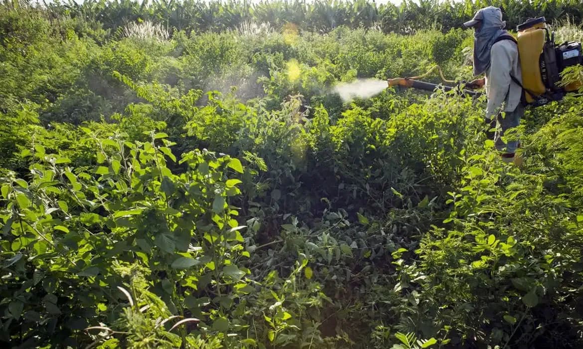 Campanha denuncia agronegócio por contaminações com uso de agrotóxicos