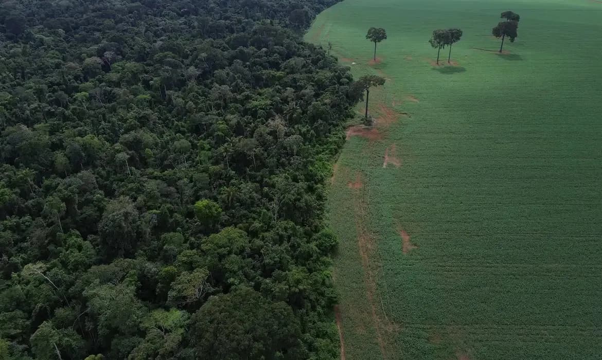 Caravana social vai à COP30 denunciar megaprojetos do agronegócio