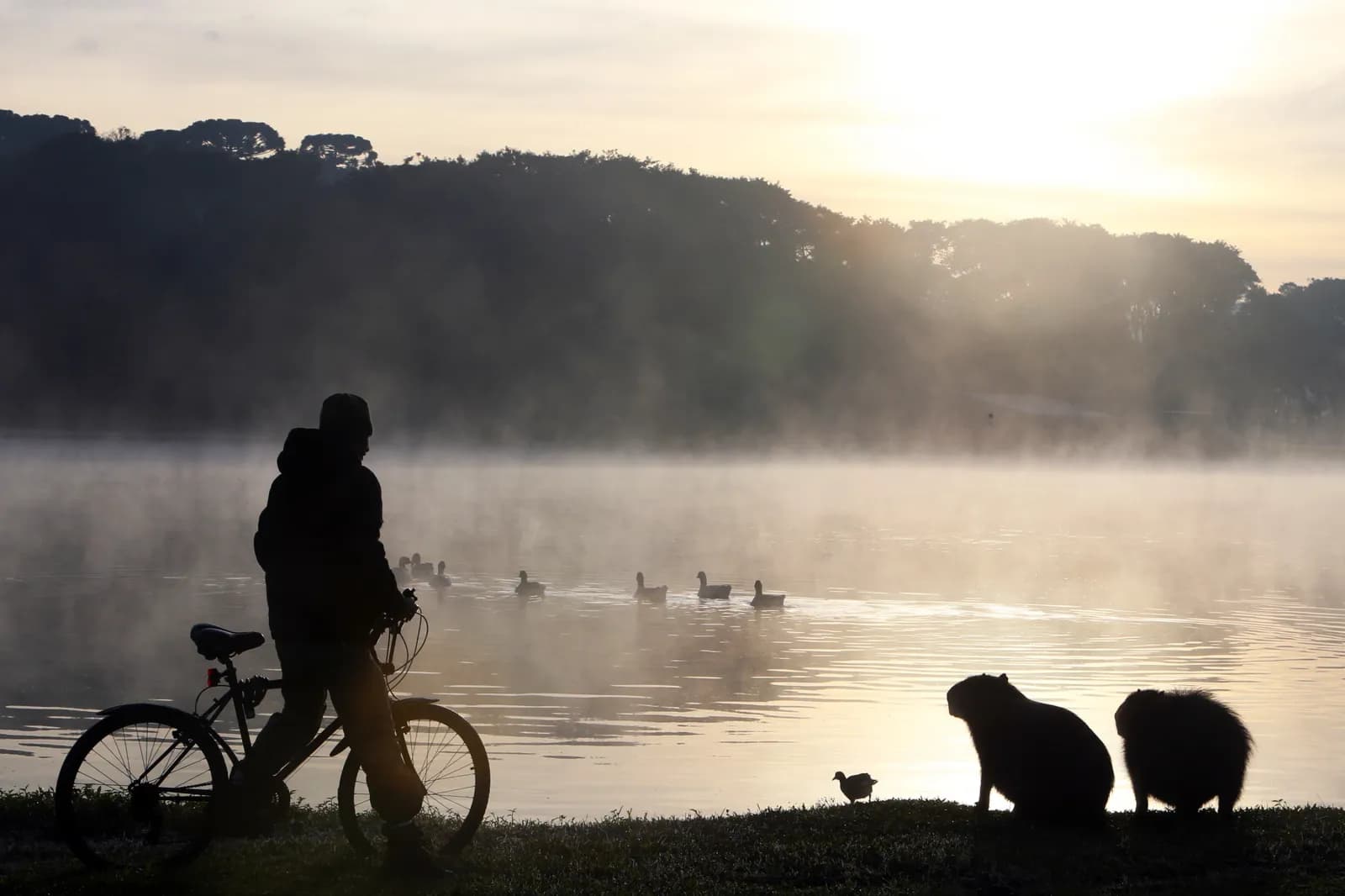 Com nova massa de ar polar, temperaturas negativas voltam ao Paraná no fim de semana