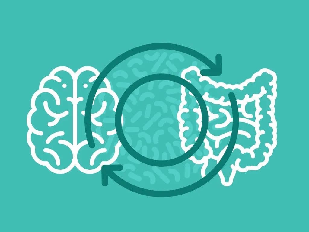 O Eixo Intestino-Cérebro: Como a Alimentação Pode Transformar Sua Saúde Mental