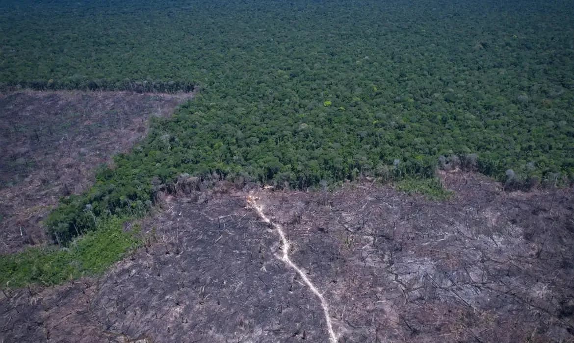 Países discutem solução para combustível fóssil e desmatamento ilegal