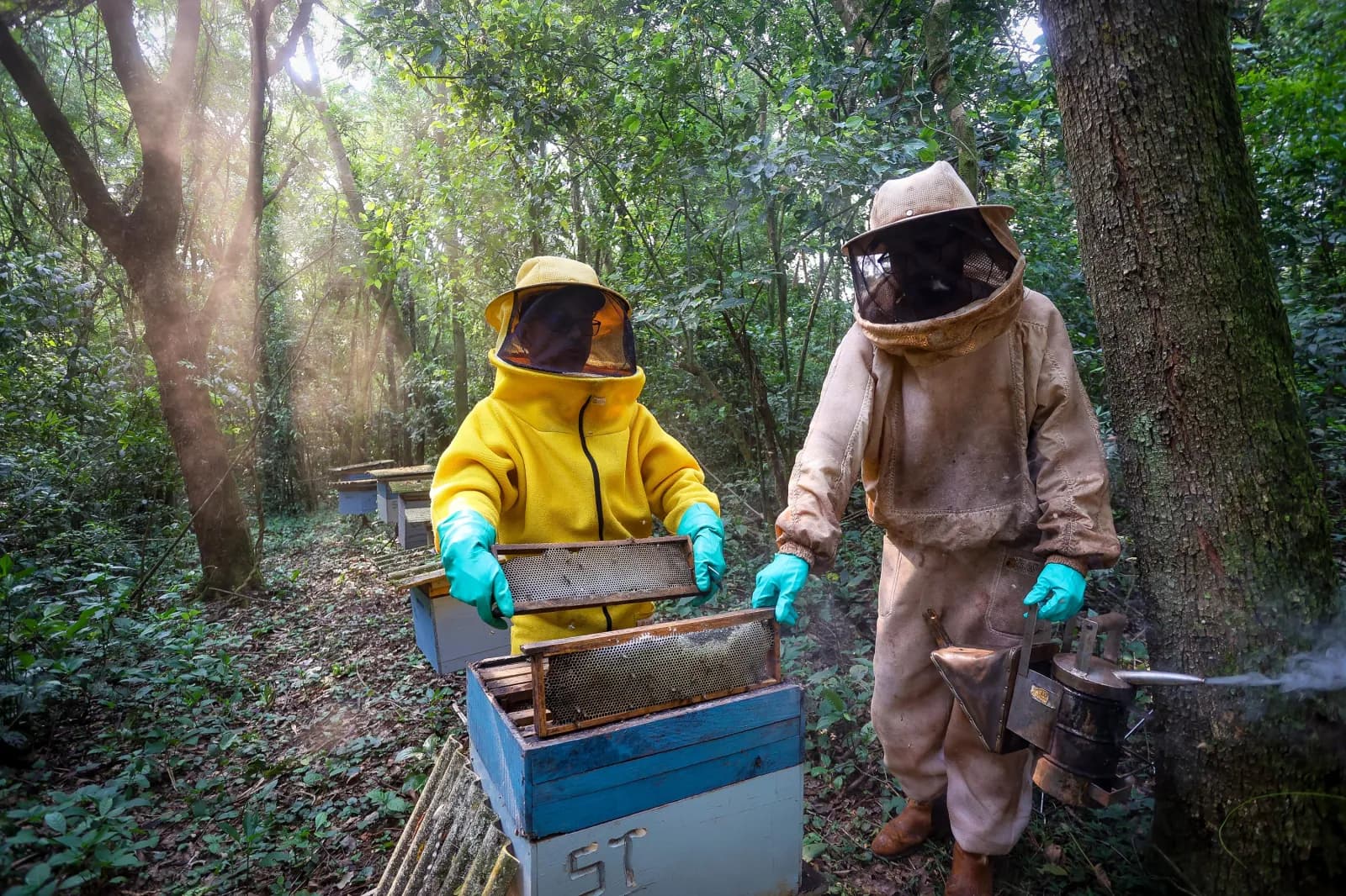 Paraná chega aos melhores resultados da história em atividades da agropecuária